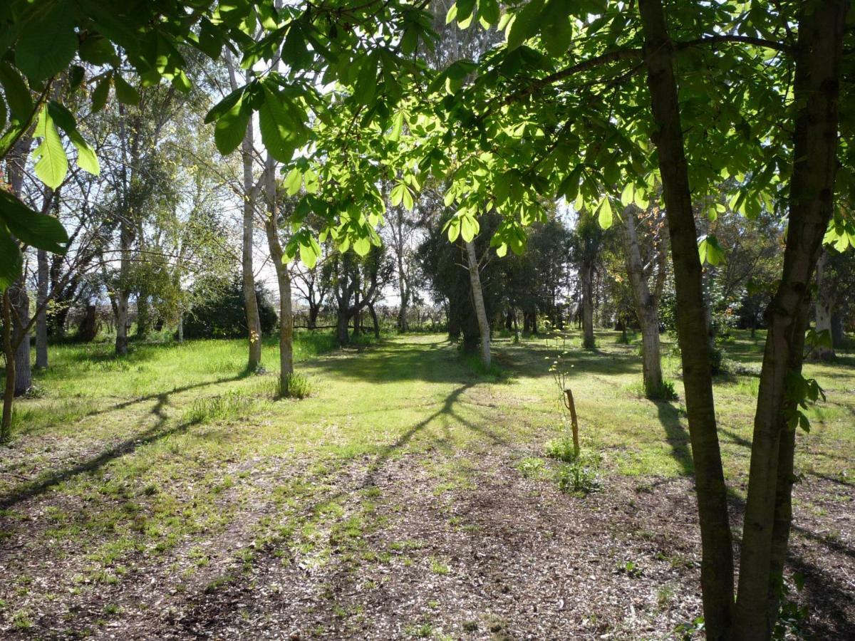 Agriturismo La Giannottola อาพริเลีย ภายนอก รูปภาพ