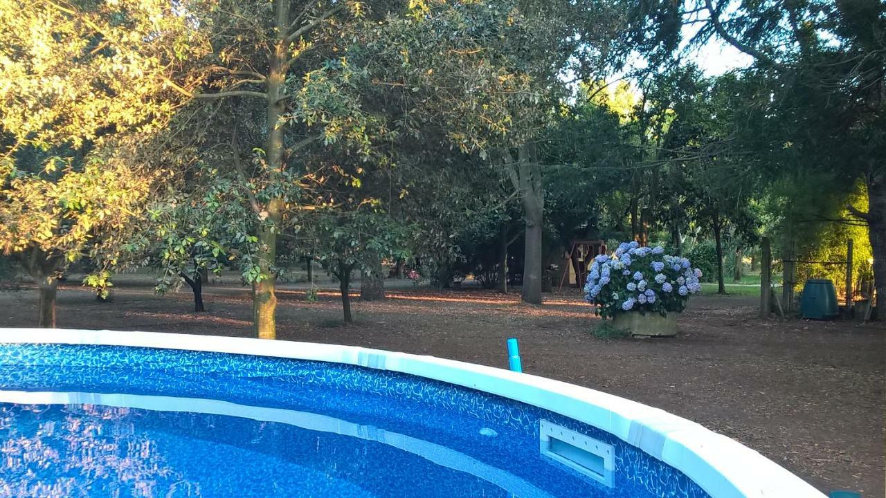 Agriturismo La Giannottola อาพริเลีย ภายนอก รูปภาพ