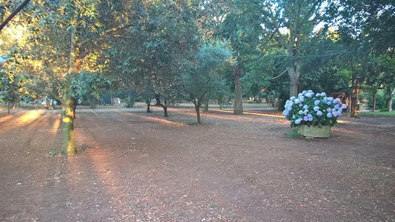 Agriturismo La Giannottola อาพริเลีย ภายนอก รูปภาพ